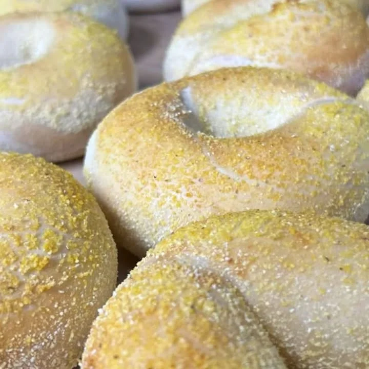 Freshly baked New York-style bagels with cornmeal topping