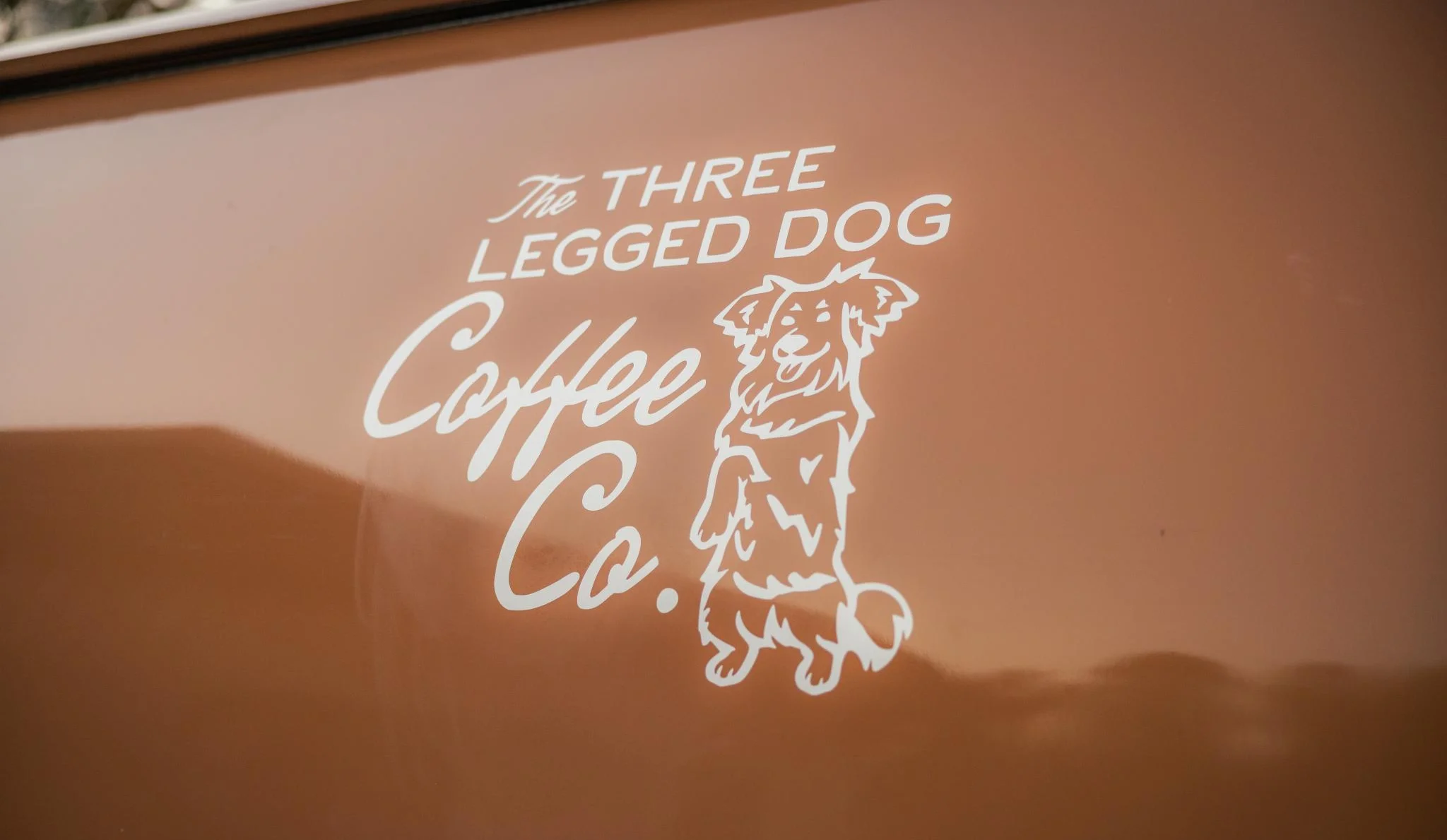 Delicious gourmet burger with fresh toppings on a wooden table