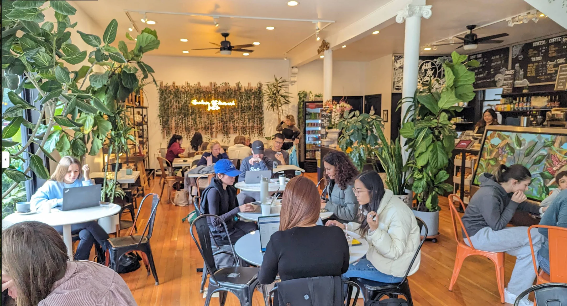 Cozy café interior with plants and patrons working
