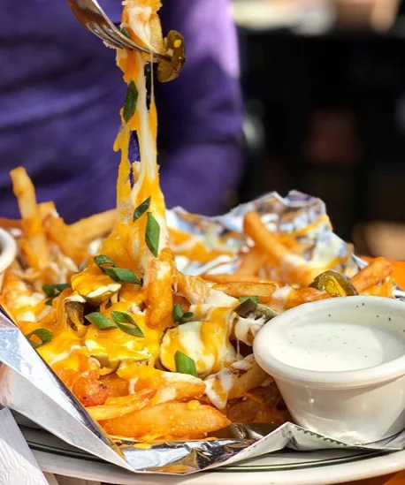 Cheese Fries