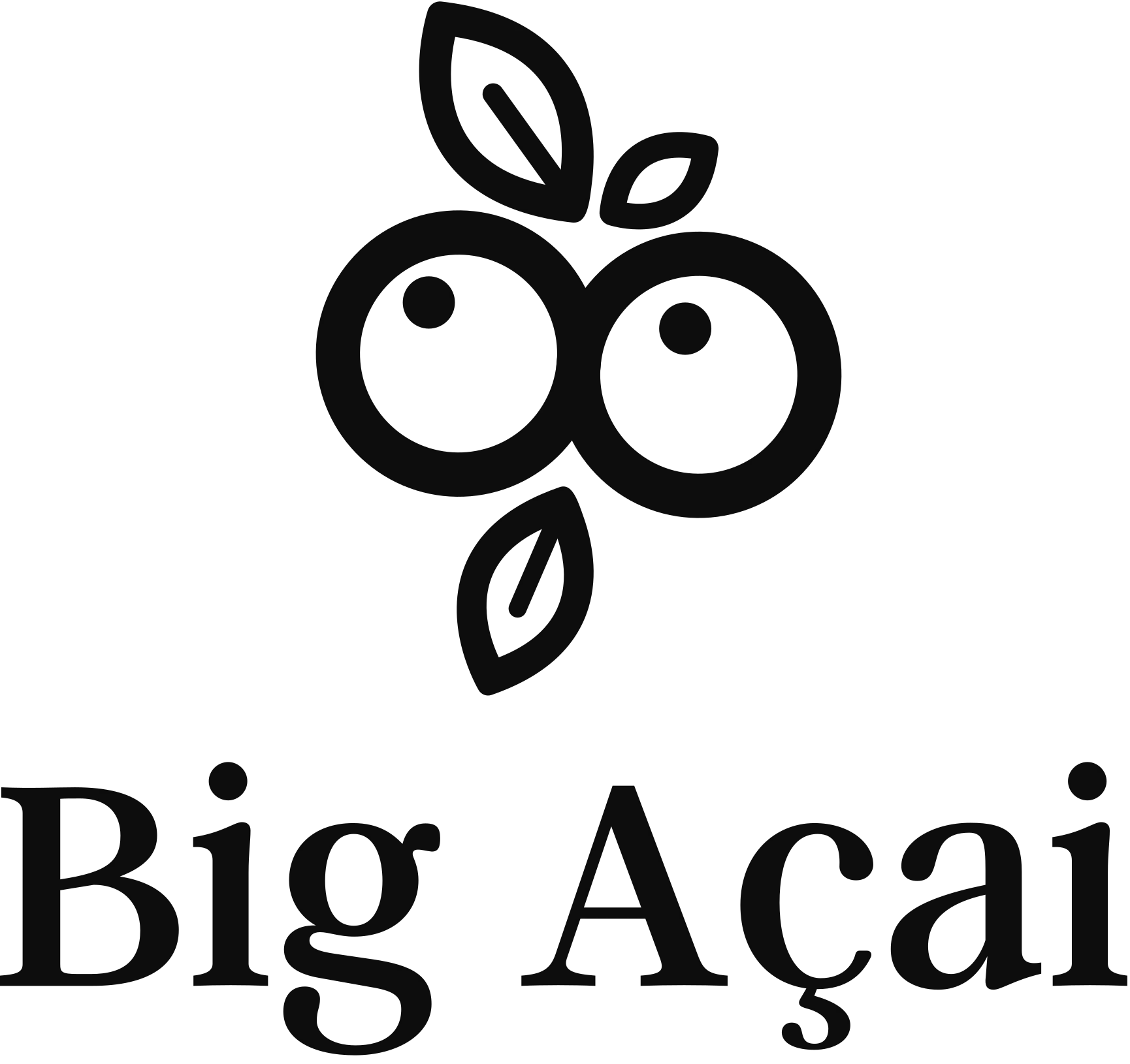 Big Acai - West Des Moines