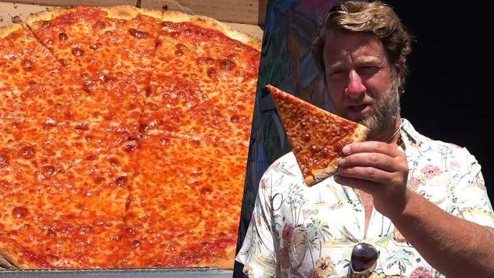 solar slice pizza dave portnoy review