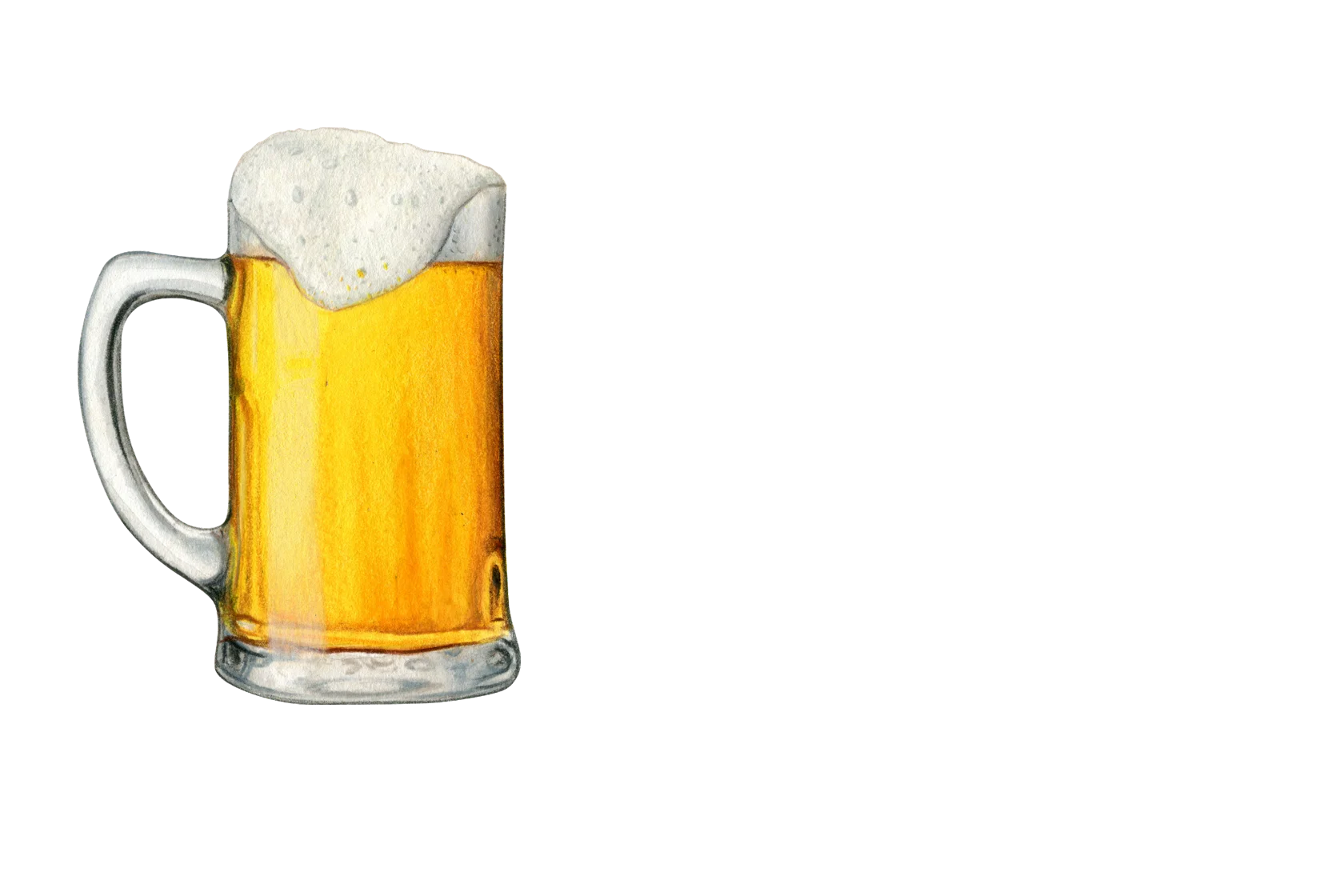 Pint of beer Illustration