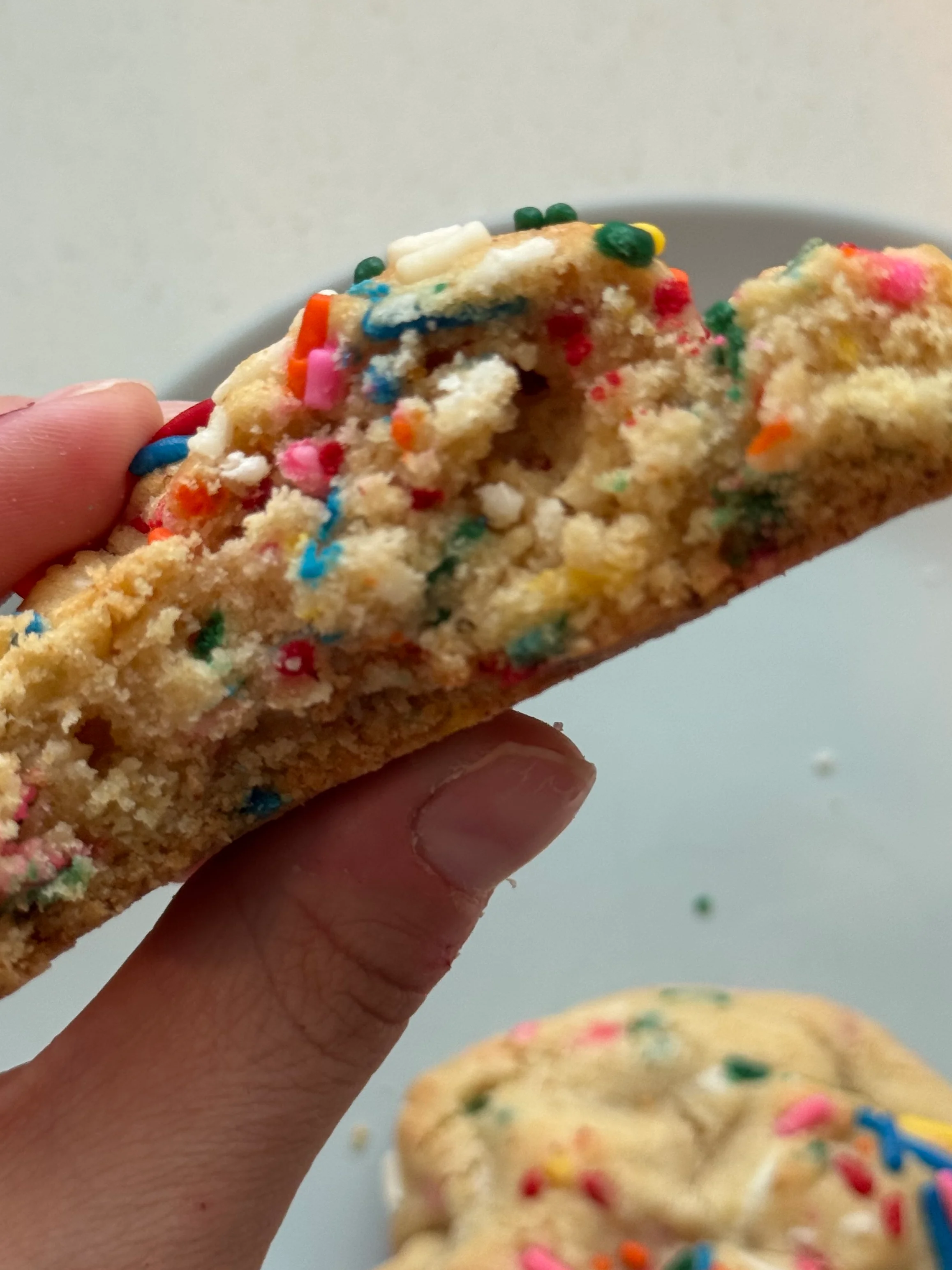 Freshly baked ginger cookie held by a smiling person