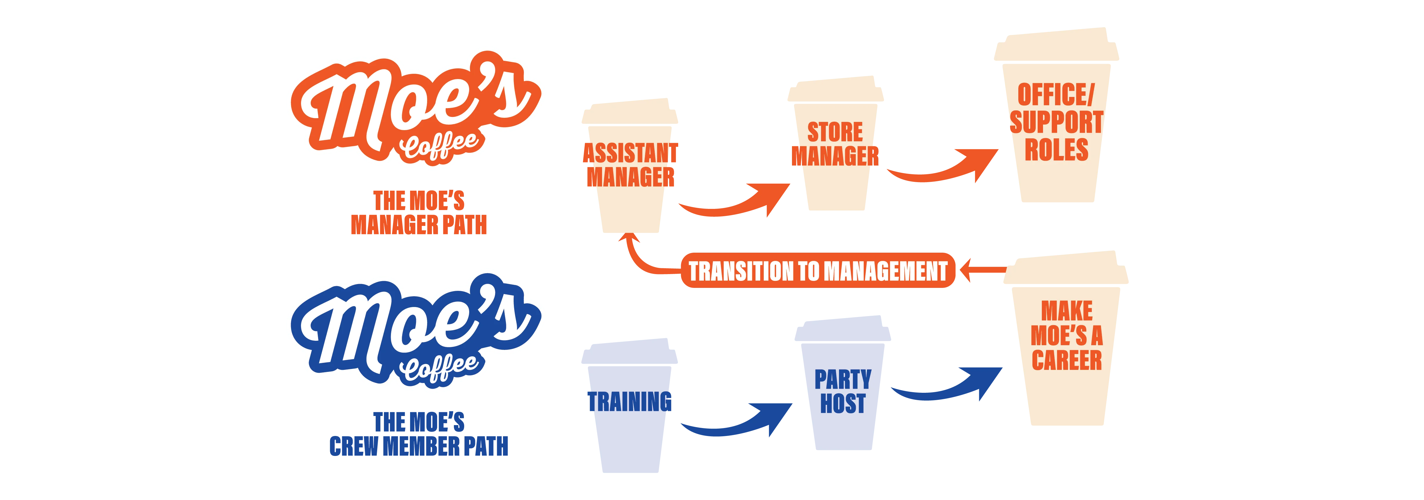 Moe's Coffee career path infographic