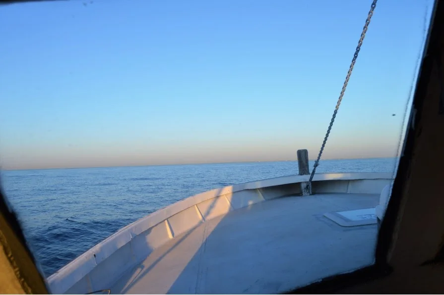 A view from the front of a boat on calm ocean waters, with a clear blue sky above.