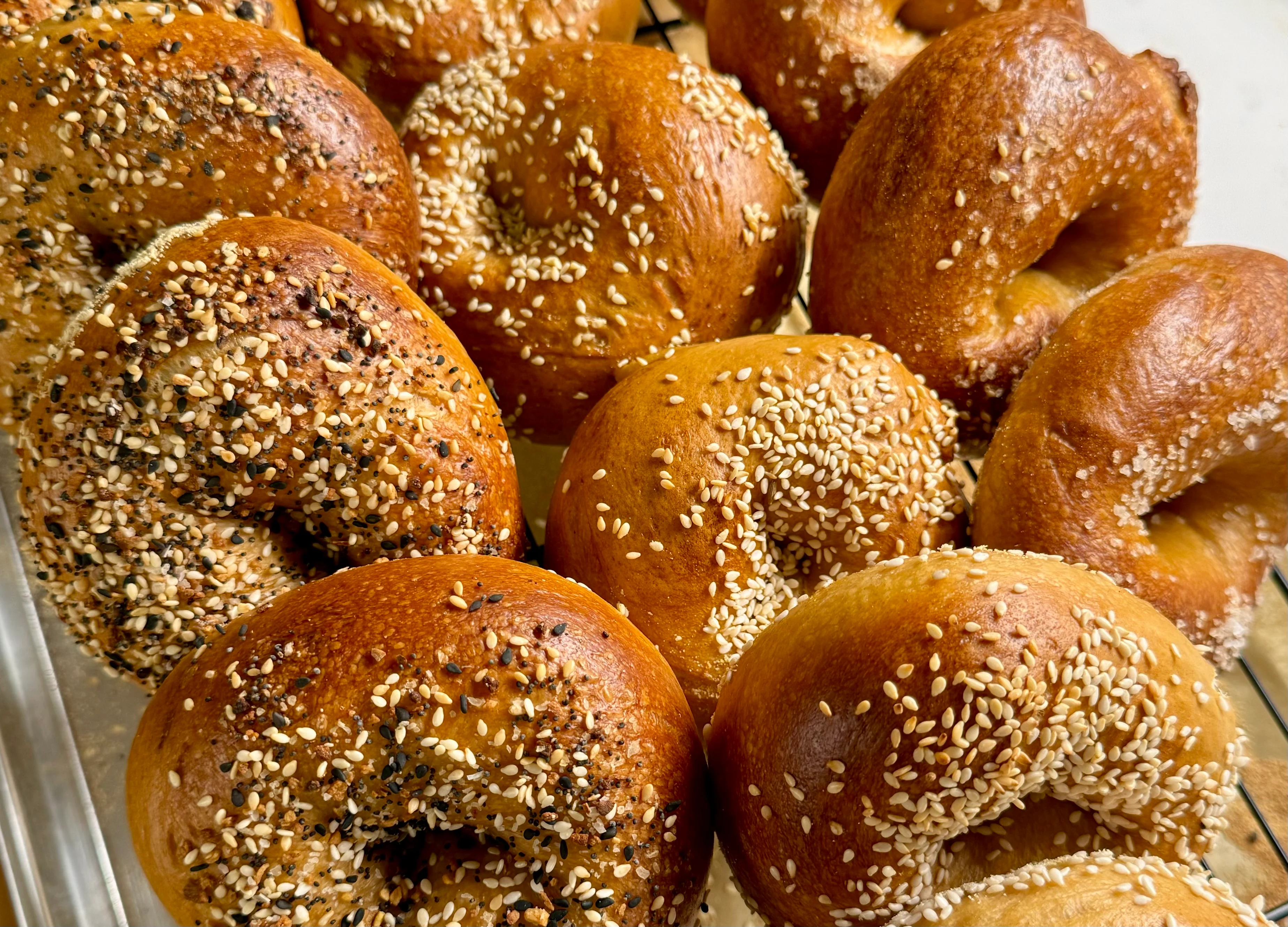 Freshly baked bagels with sesame and poppy seeds