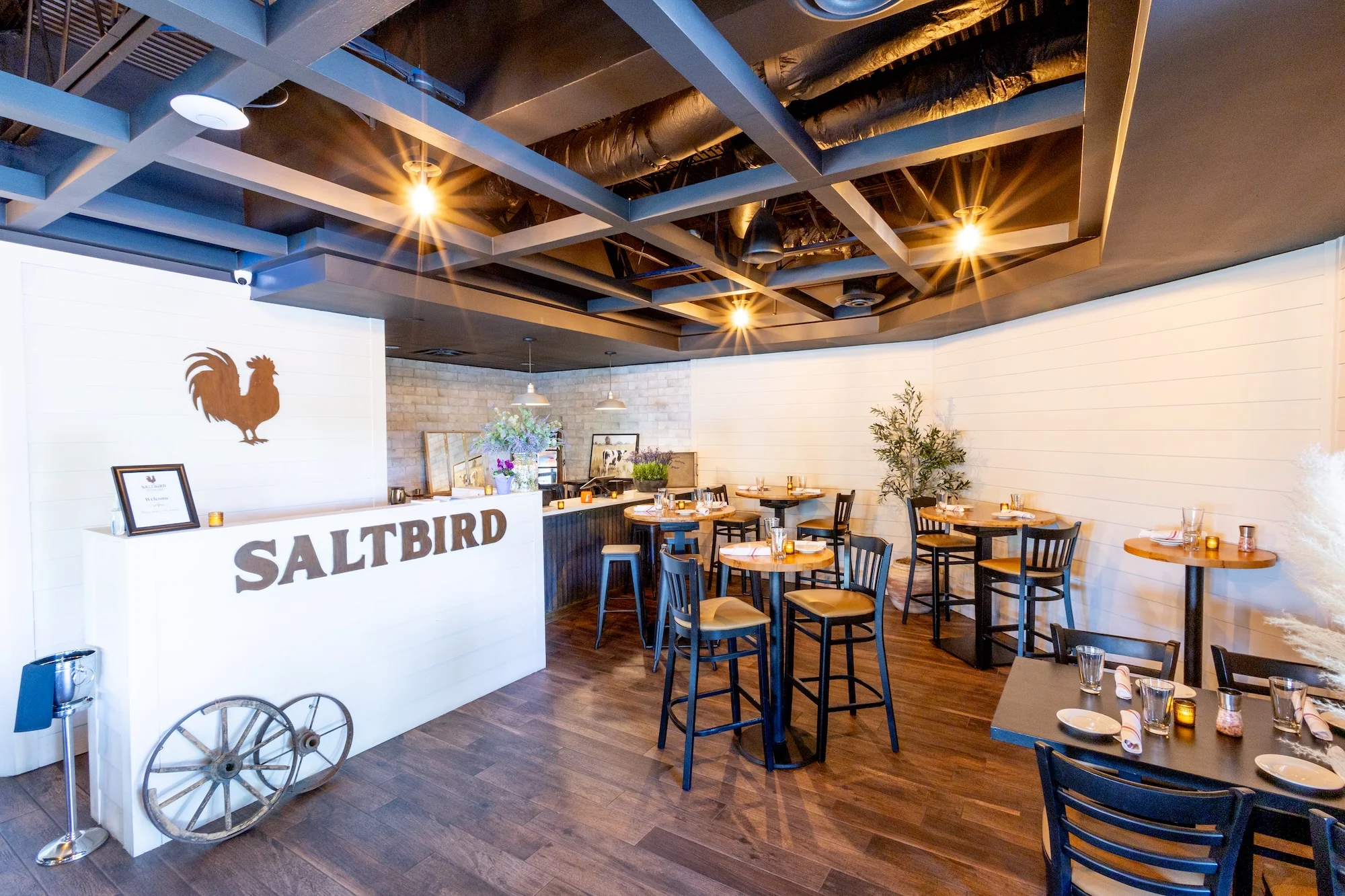 SaltBird Entrance