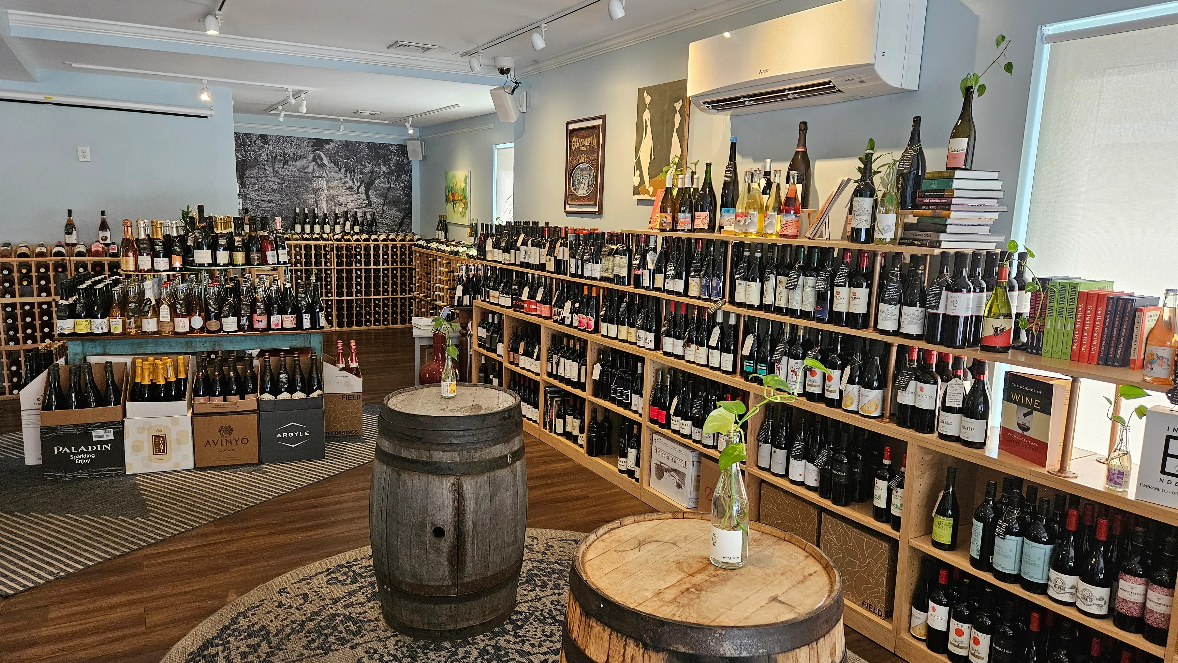 Wine shop interior with shelves of various wines and decor