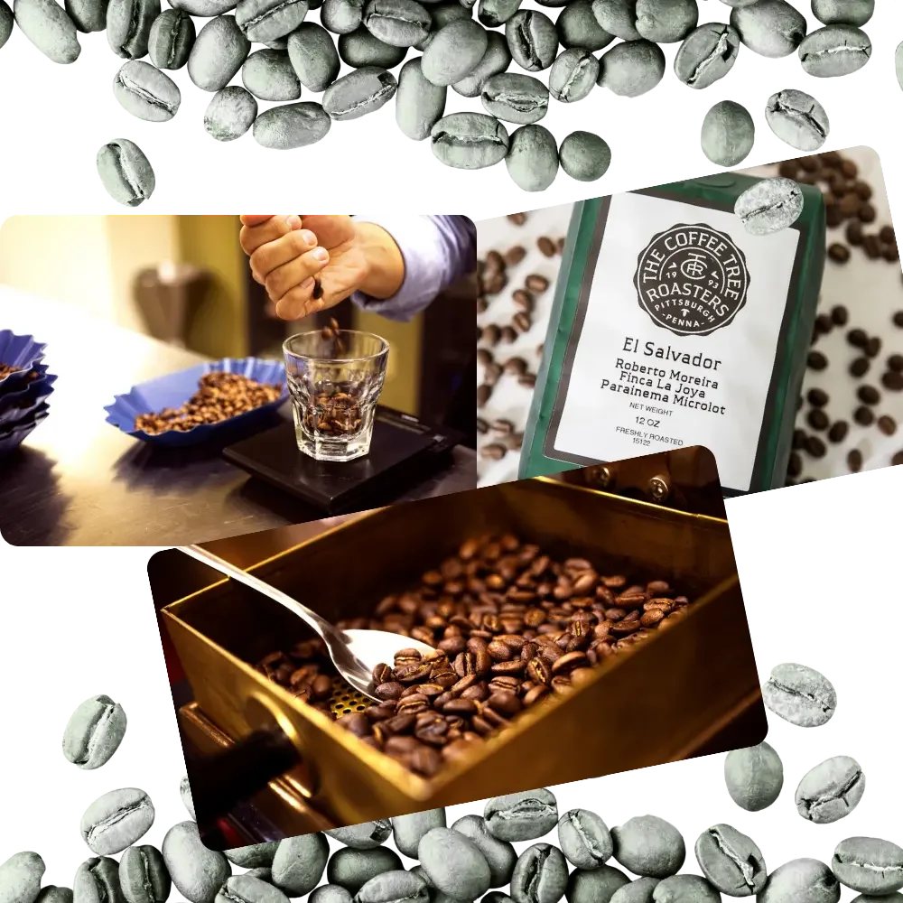 A collage of coffee imagery: green coffee beans, pouring roasted beans, a coffee pack labeled "El Salvador" from The Coffee Tree Roasters, and a roasting tray.