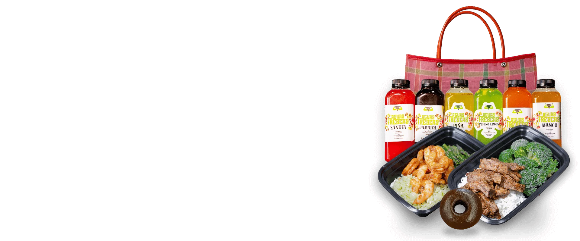 Bizzy Fit Meals
