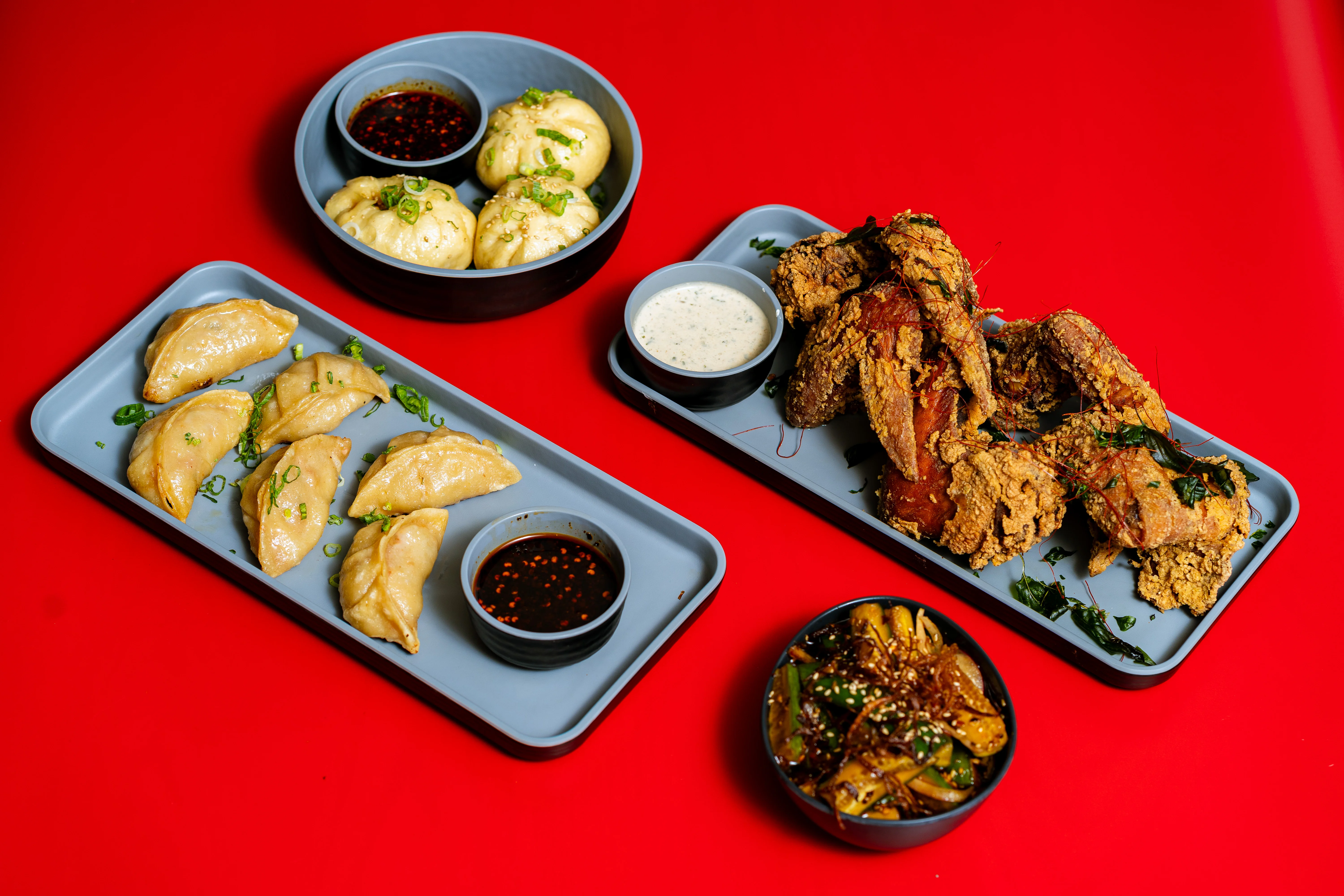 handmade pork potstickers chinese food salt lake city