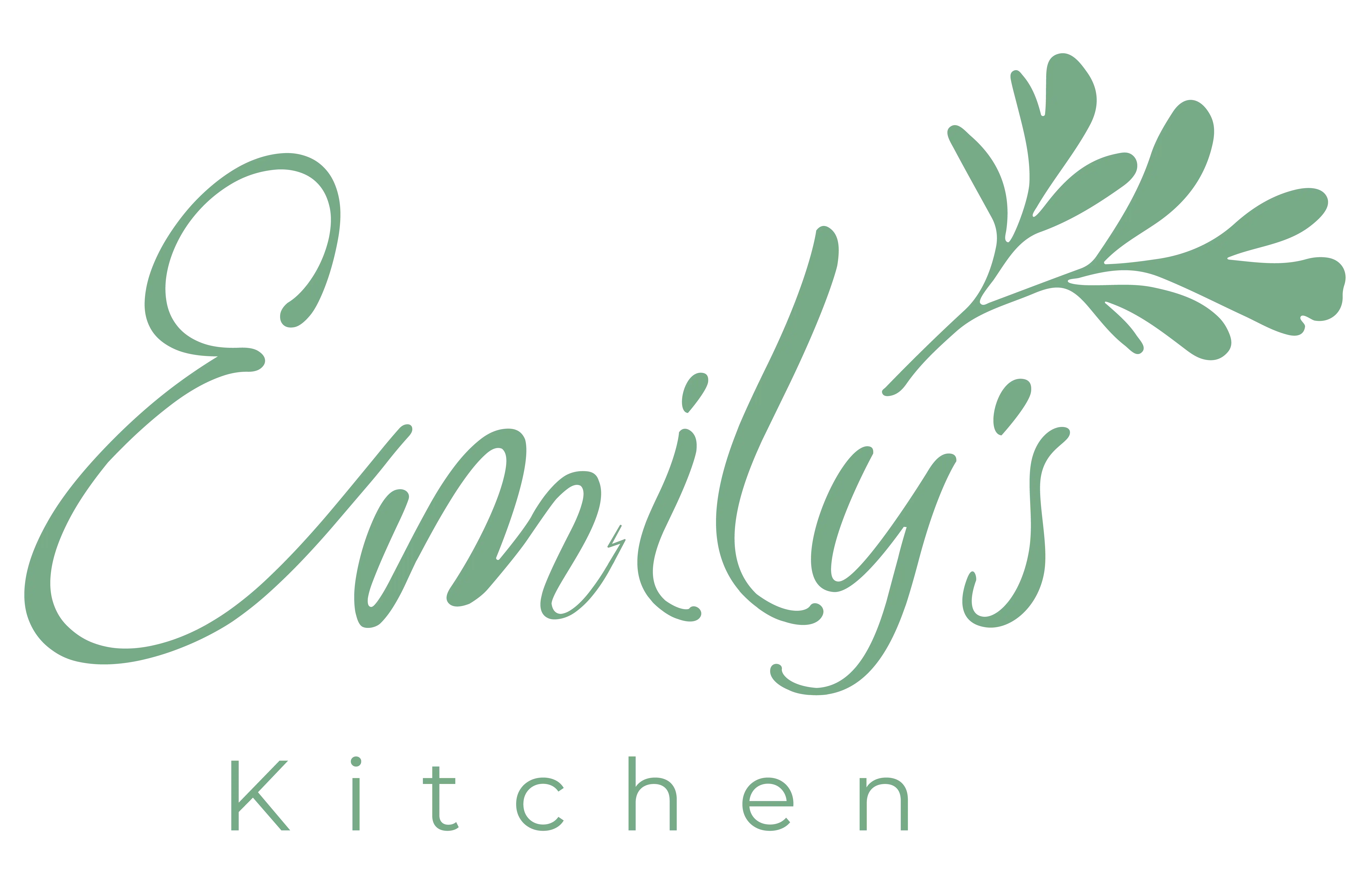 Emily's Kitchen 