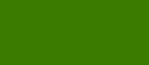 Vibrant green background for restaurant branding