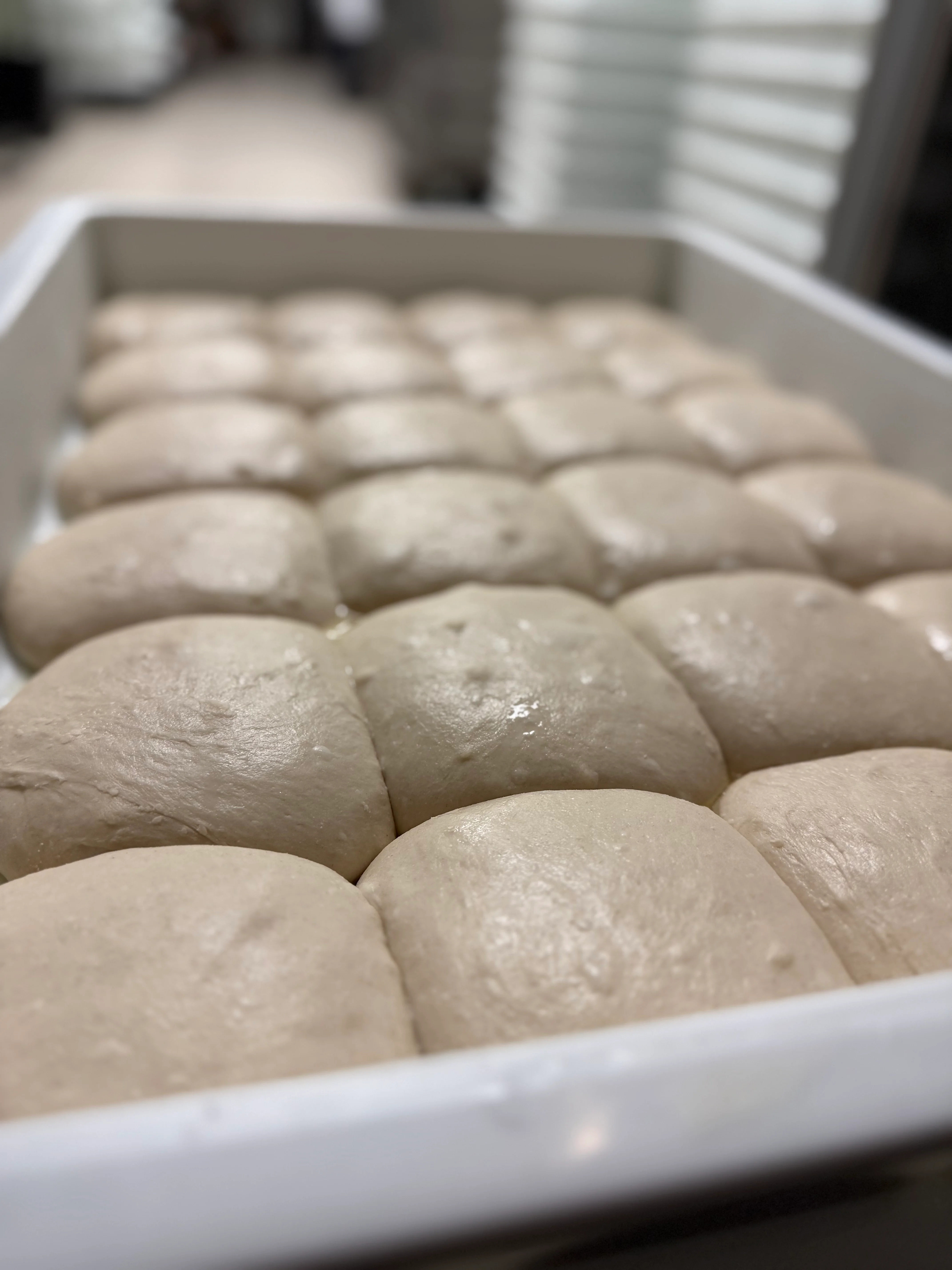 Freshly proofed bao dough ready for steaming