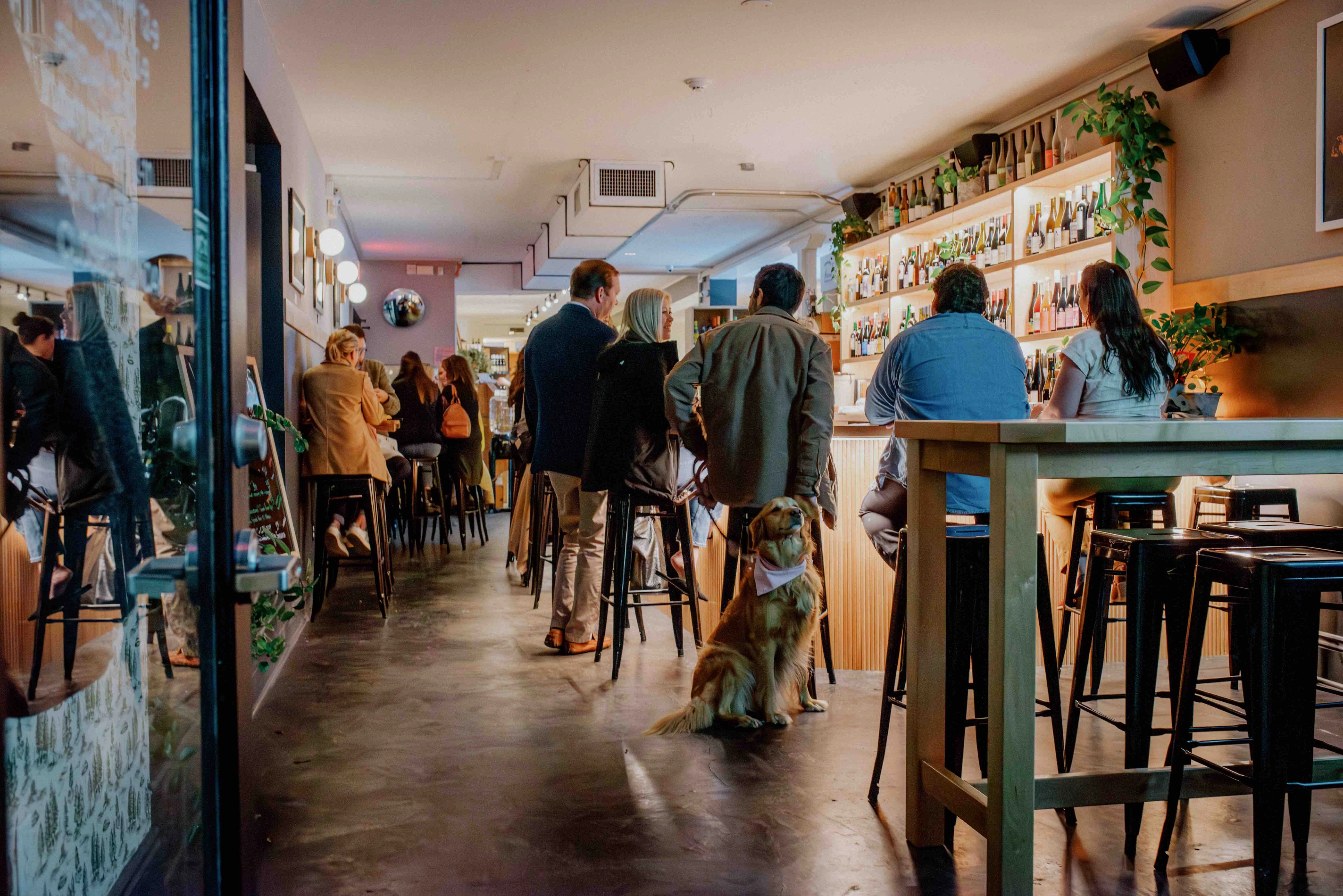 Cozy bar interior with patrons and a dog sitting on the floor