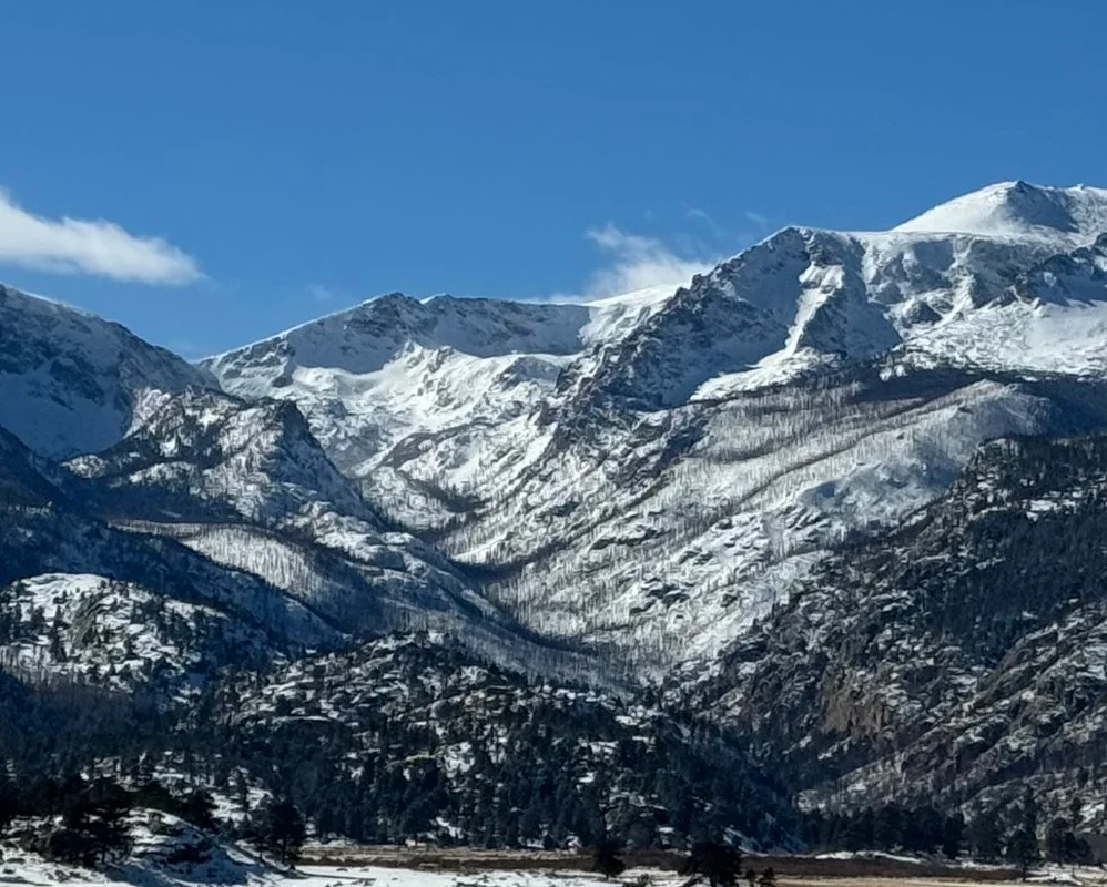 Find out where Small Mountain Coffee is today