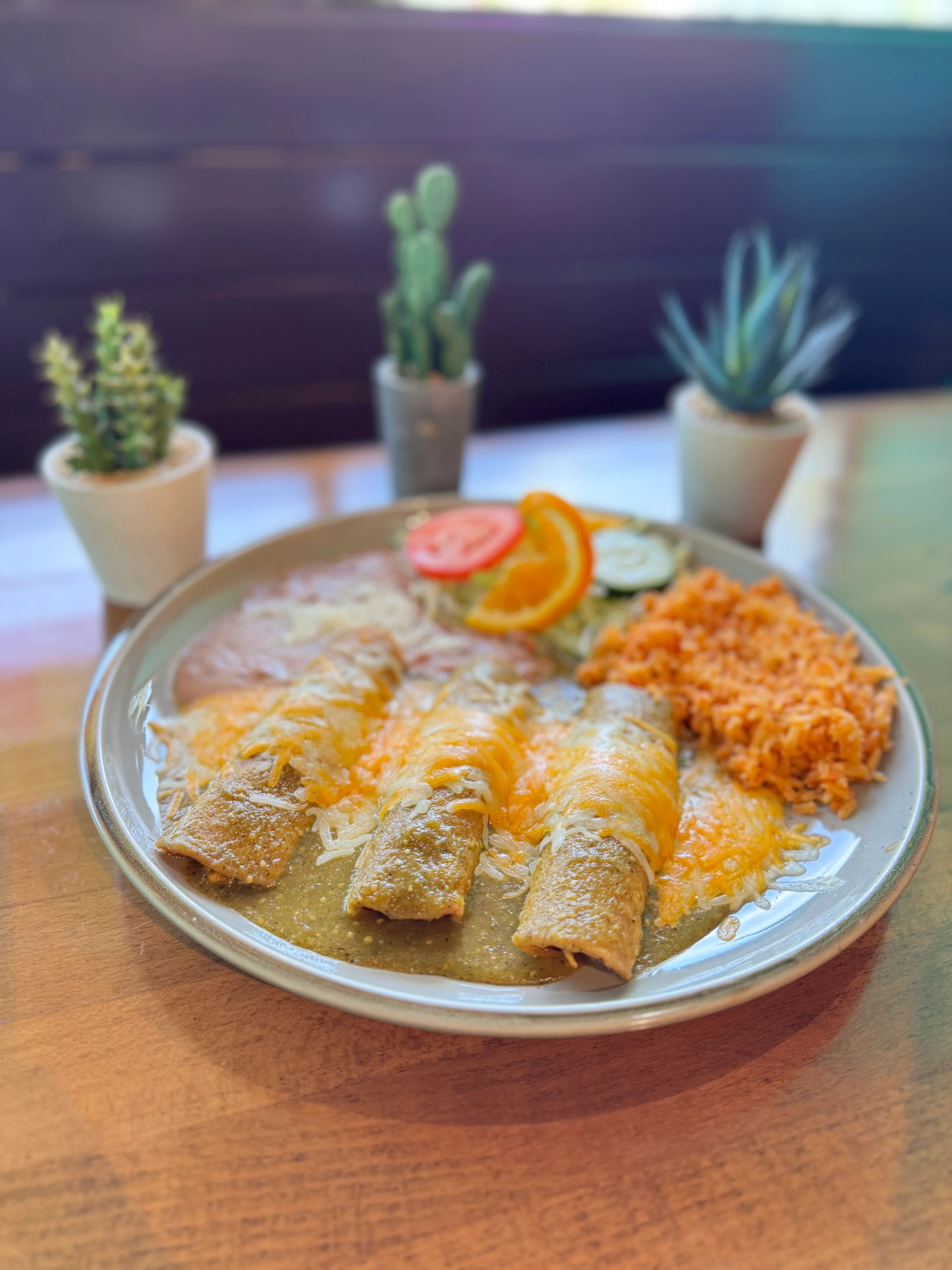 Plate of enchiladas verdes with rice and beans