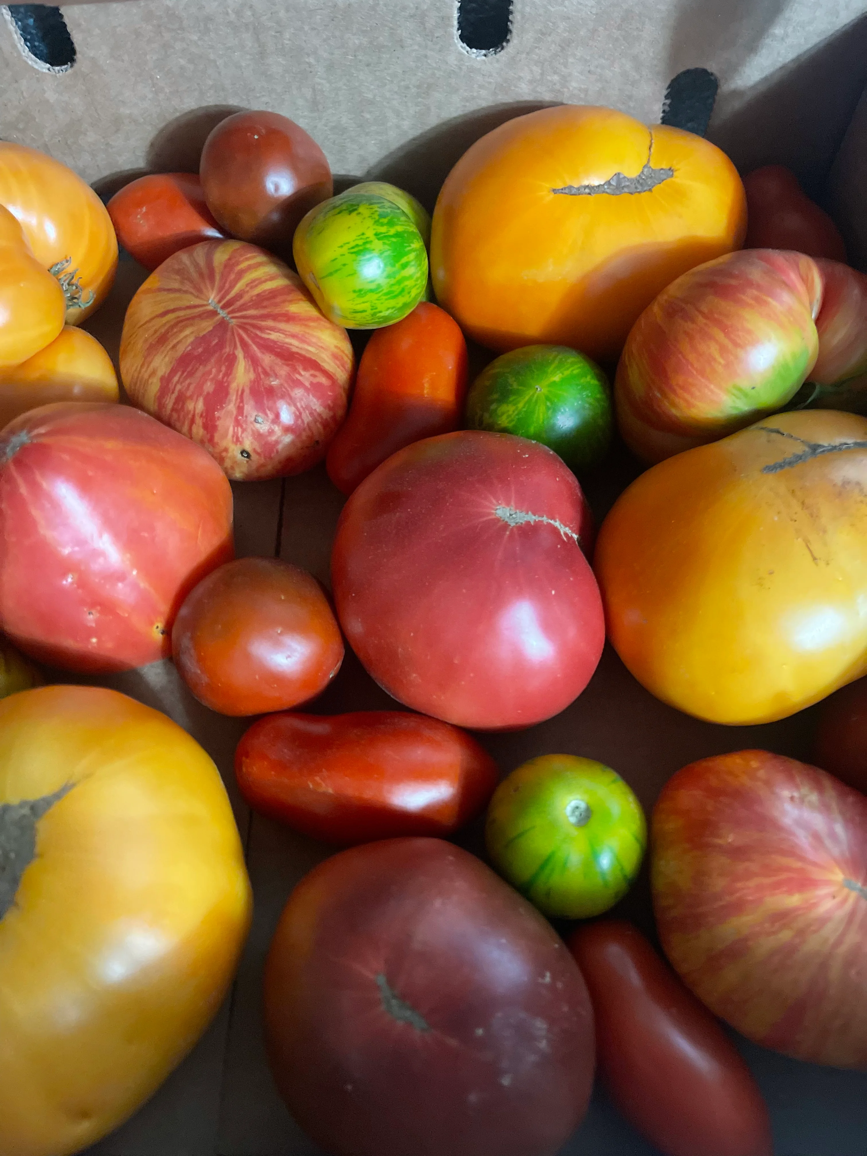 Heirloom Tomatoes, Locally Sourced from Farms in Northern  California