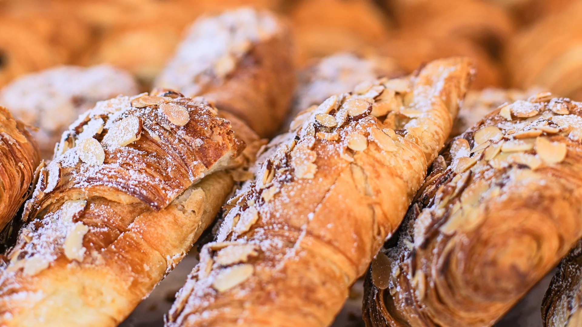 Freshly baked almond croissants dusted with powdered sugar