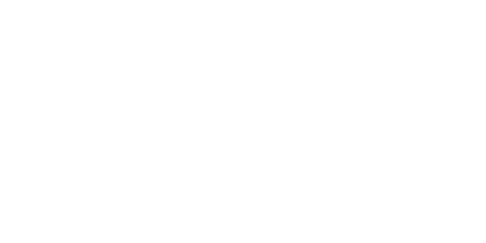 Fusion Grill