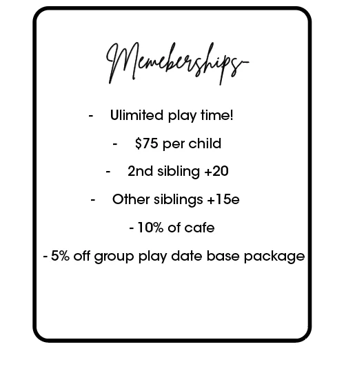 Membership details for children's play area with pricing and benefits