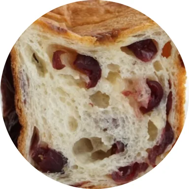 Cranberry brioche loaf slice showcasing airy texture