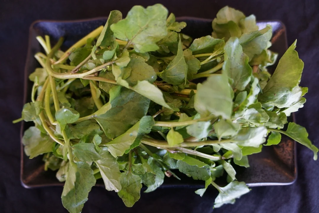Side Watercress