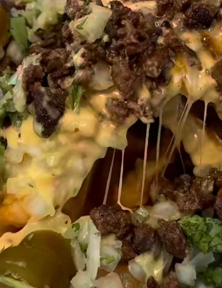 Loaded Beef Fries