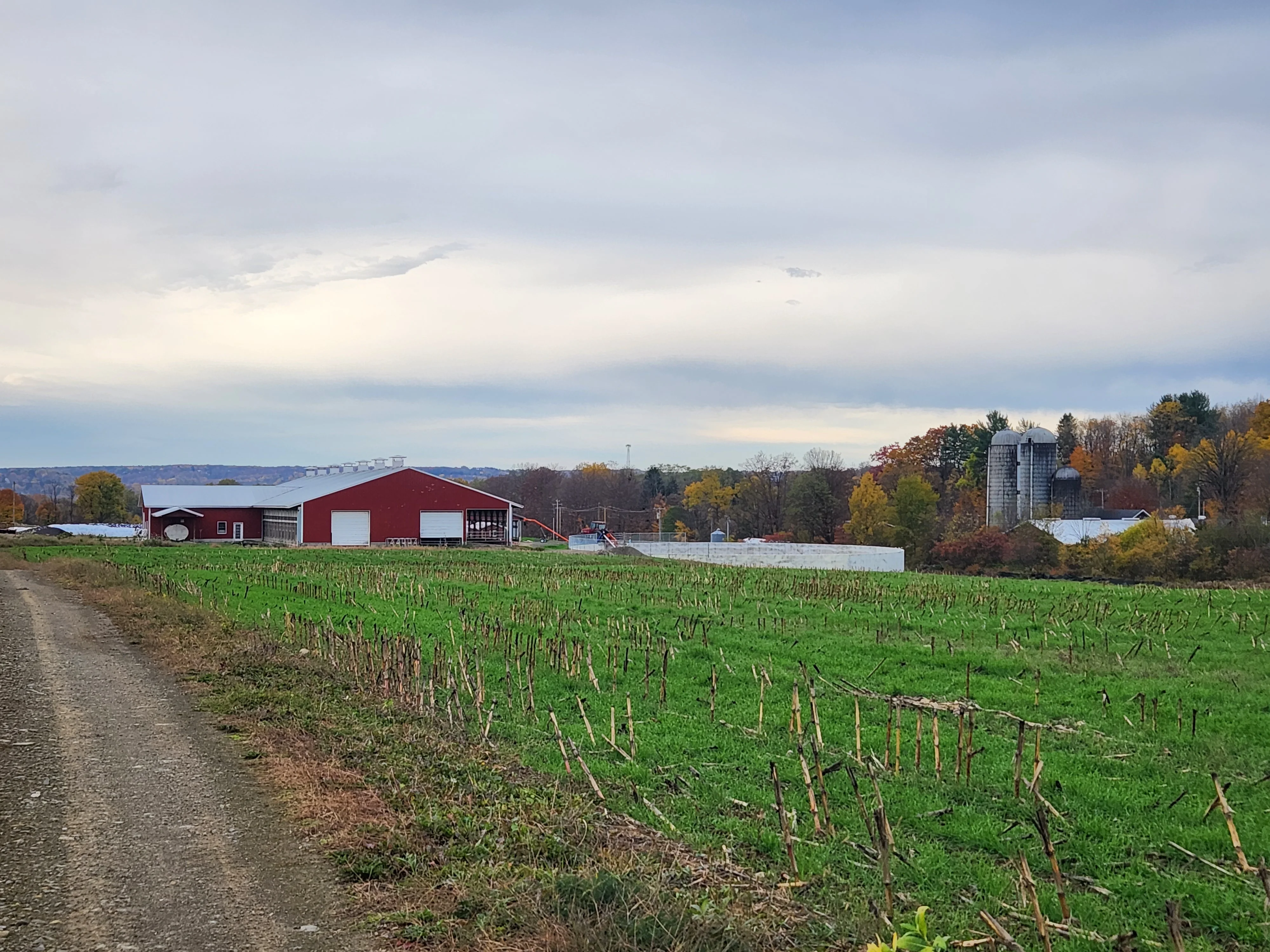 Scenic view of a red barn and silos in a rural landscape