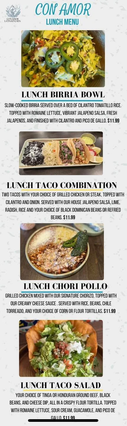 Authentic Mexican birria bowl with cilantro rice