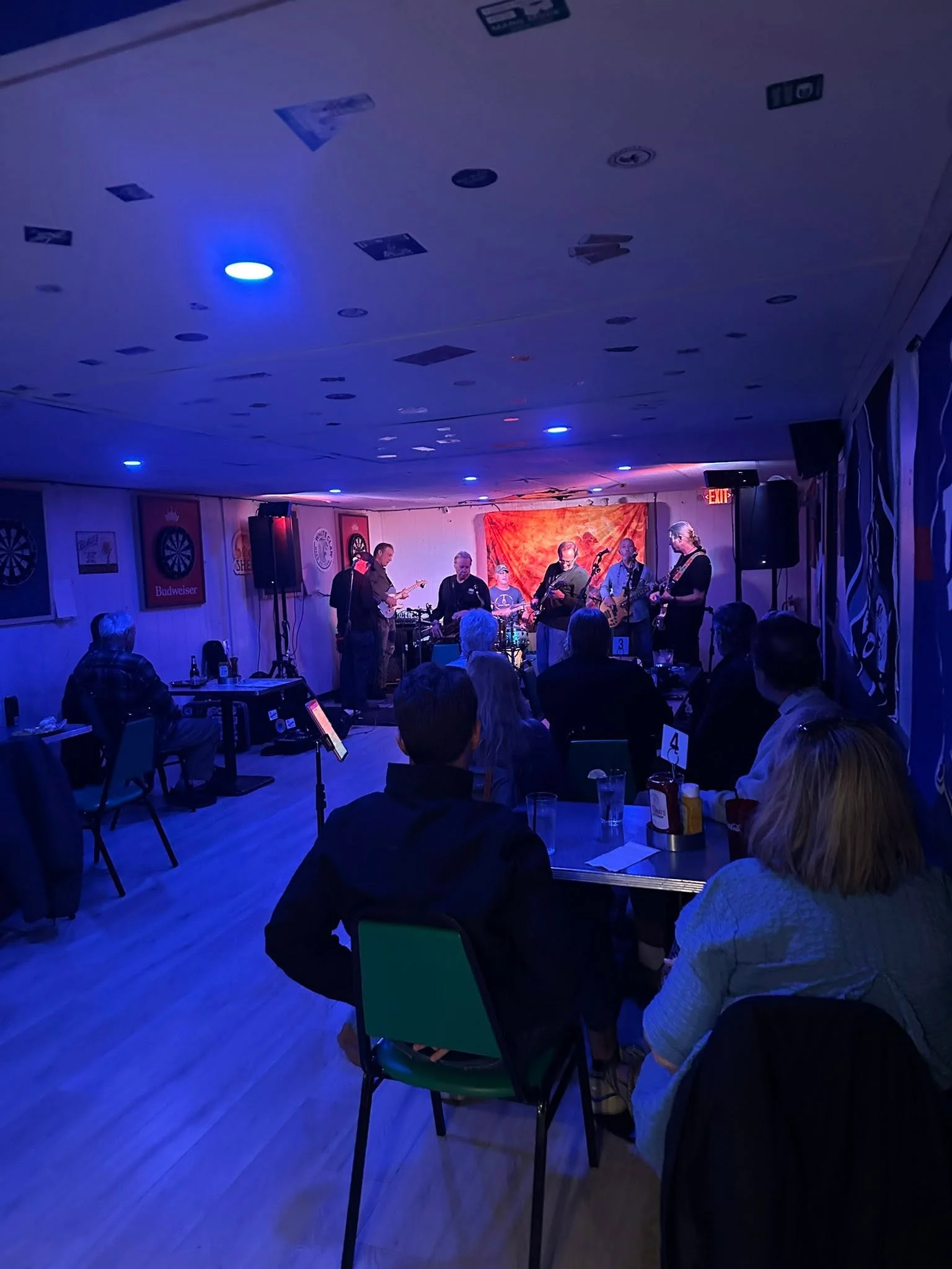 Live music performance in a cozy restaurant setting