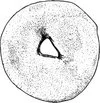 Ancient stone artifact with a triangular hole