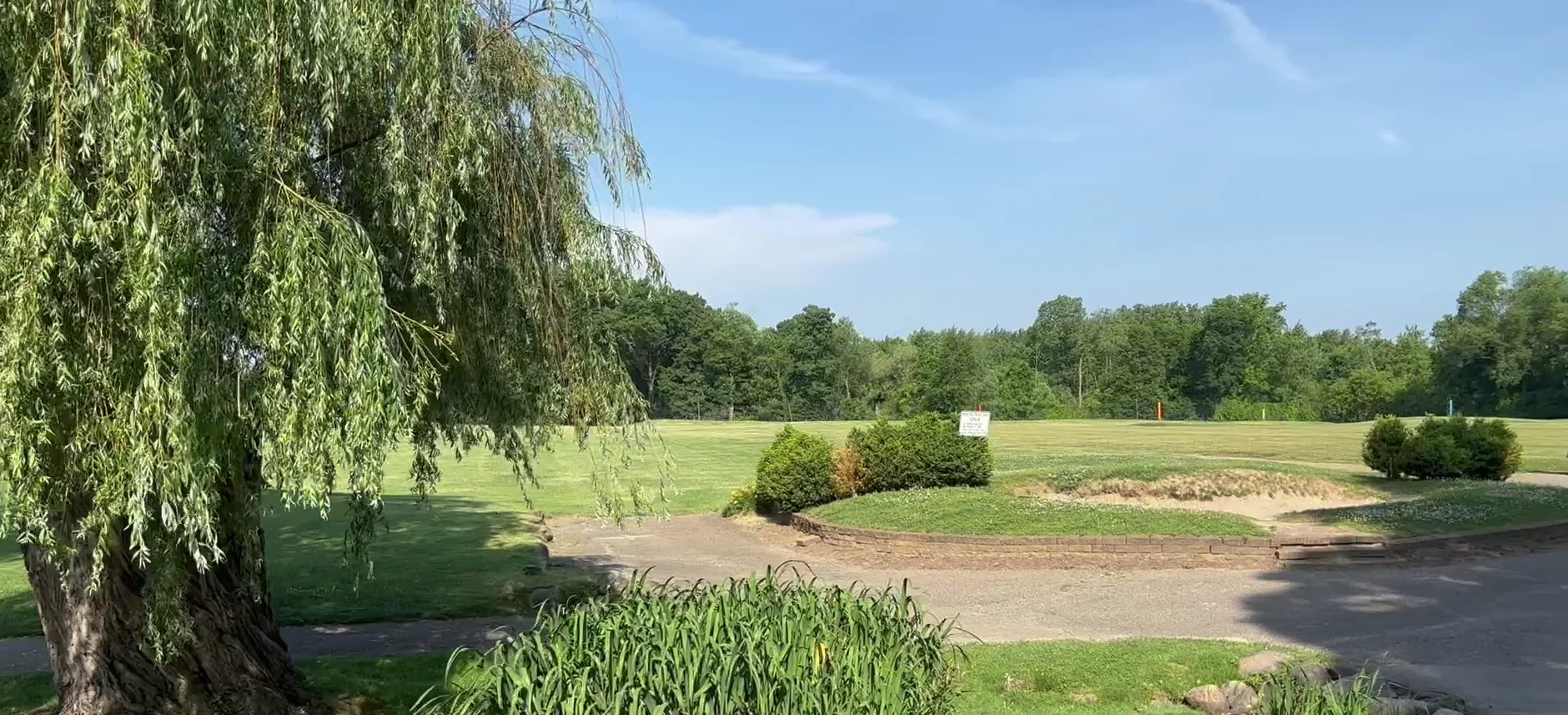 Scenic view of a lush green landscape with trees and blue sky