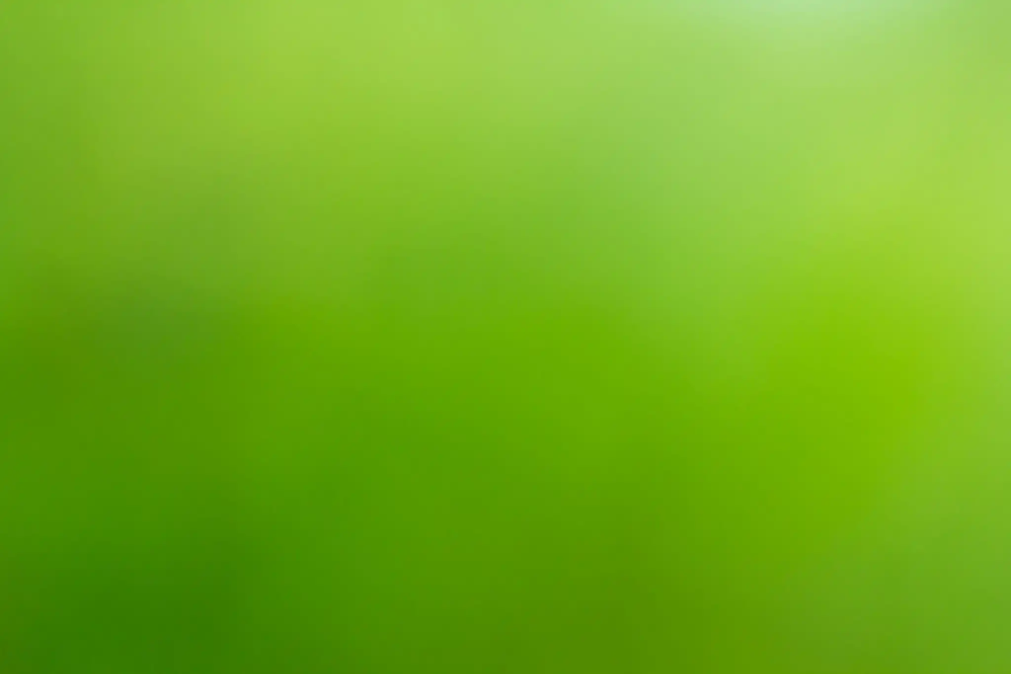 Banner image
