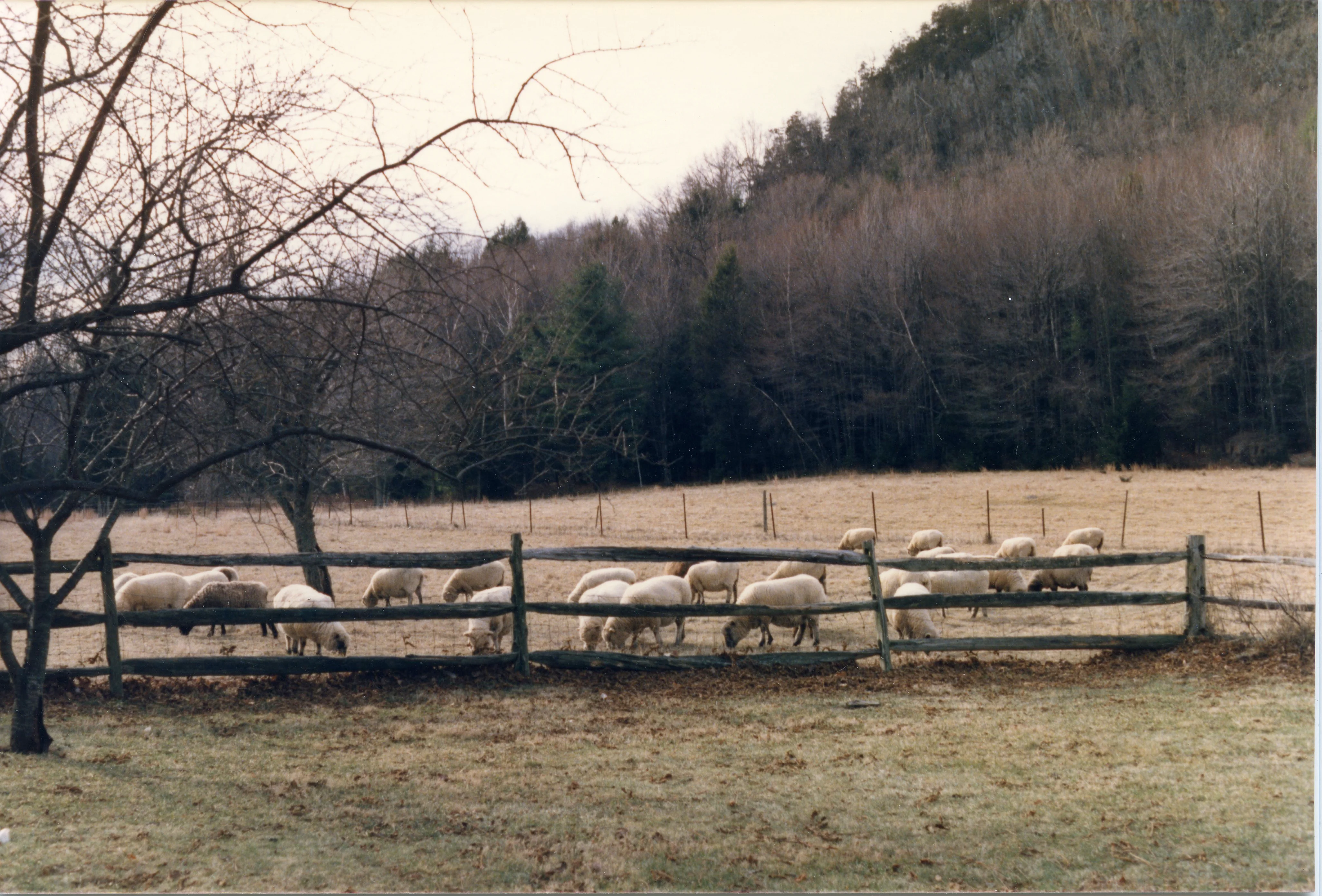 Carousel image 8