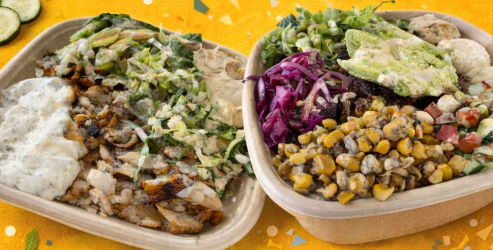 Chicken shawarma plate at PITA Mediterranean Grill Frisco, Texas