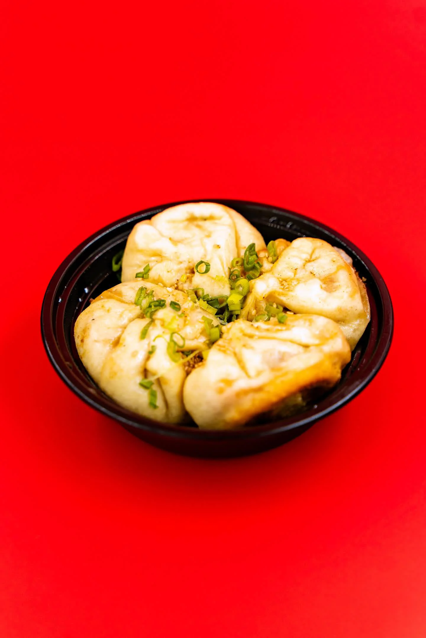 Pan fried pork buns chinese food salt lake city