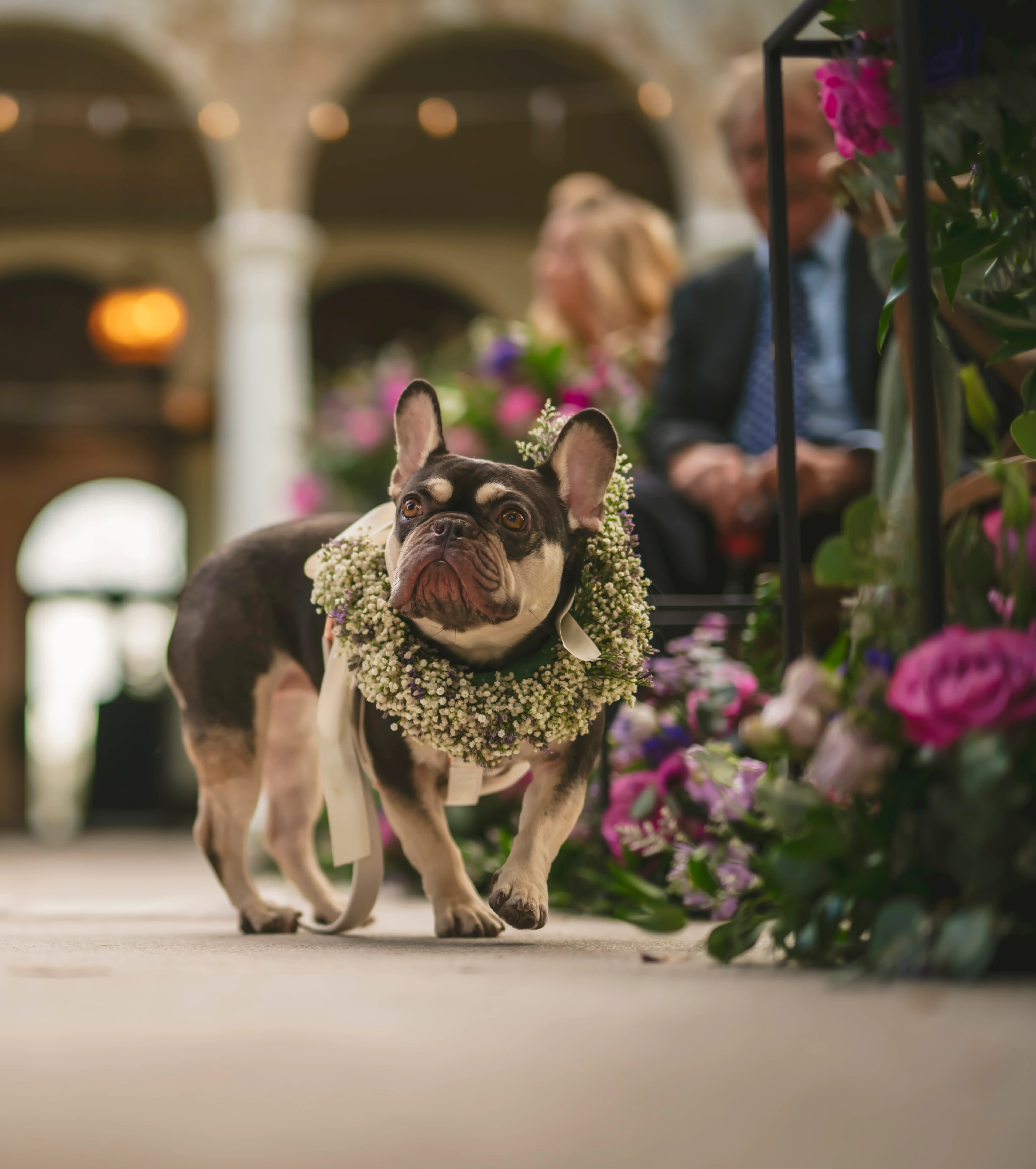 French Bulldog in floral wedding decor
