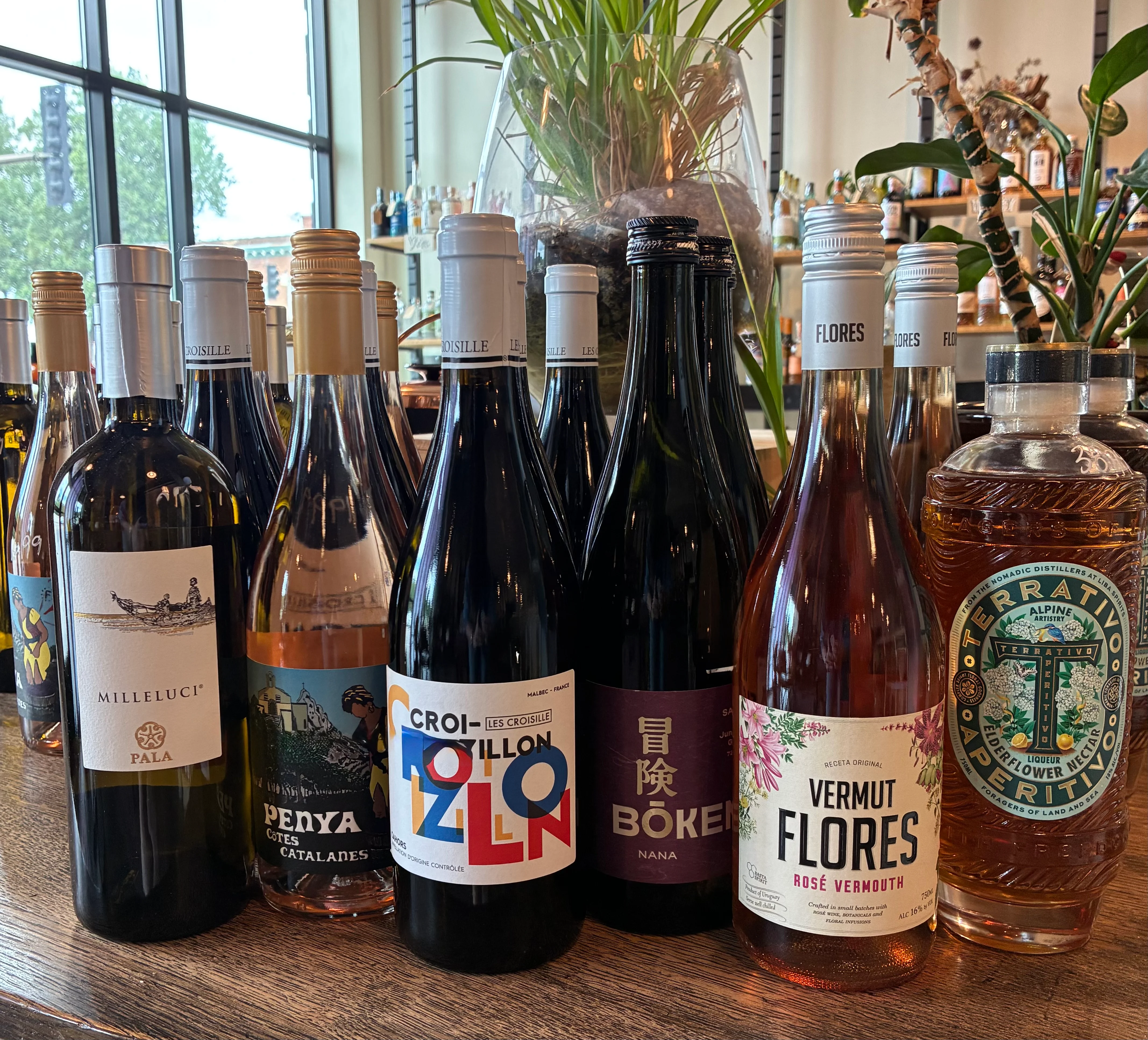 Selection of premium spirits and plants on a rustic bar counter