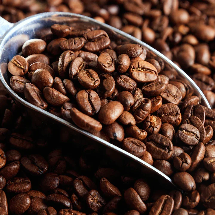 Freshly roasted coffee beans in a scoop