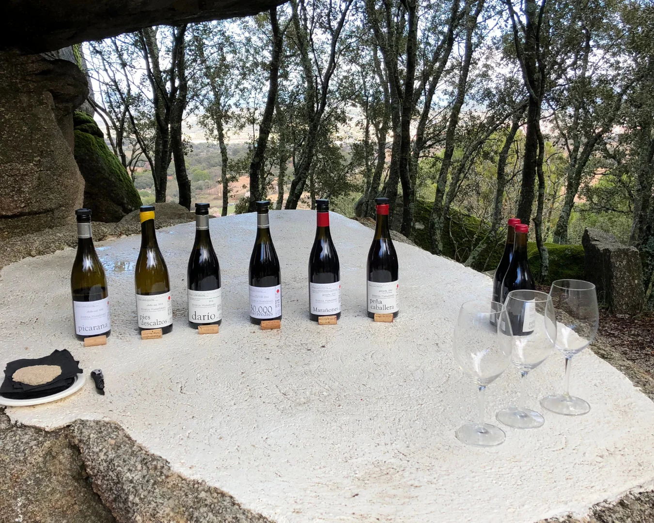 Wine tasting setup in a scenic outdoor setting