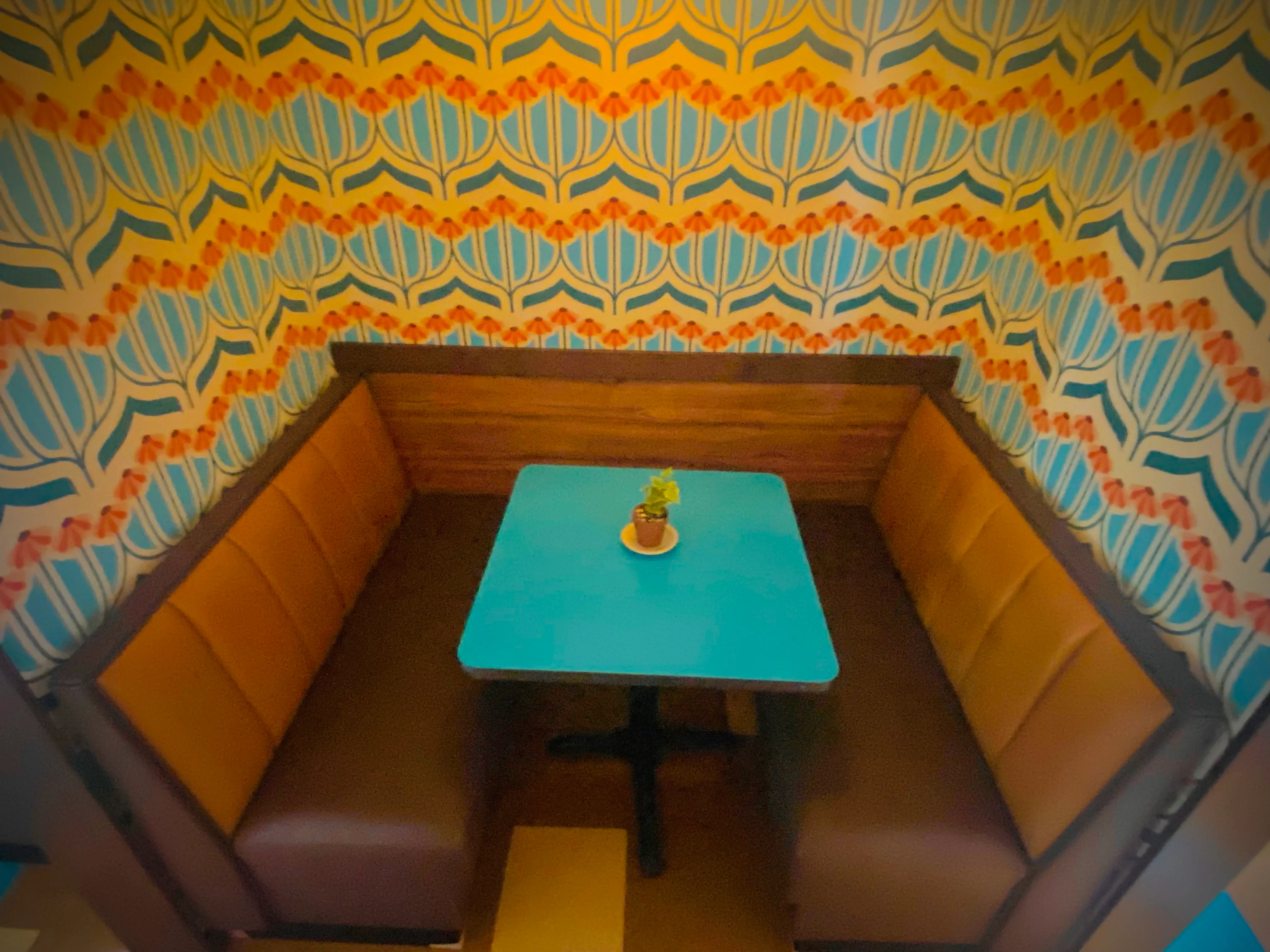 Cozy restaurant booth with colorful wallpaper and a small plant centerpiece