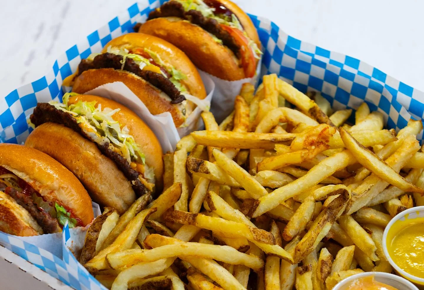 French Fry Frier