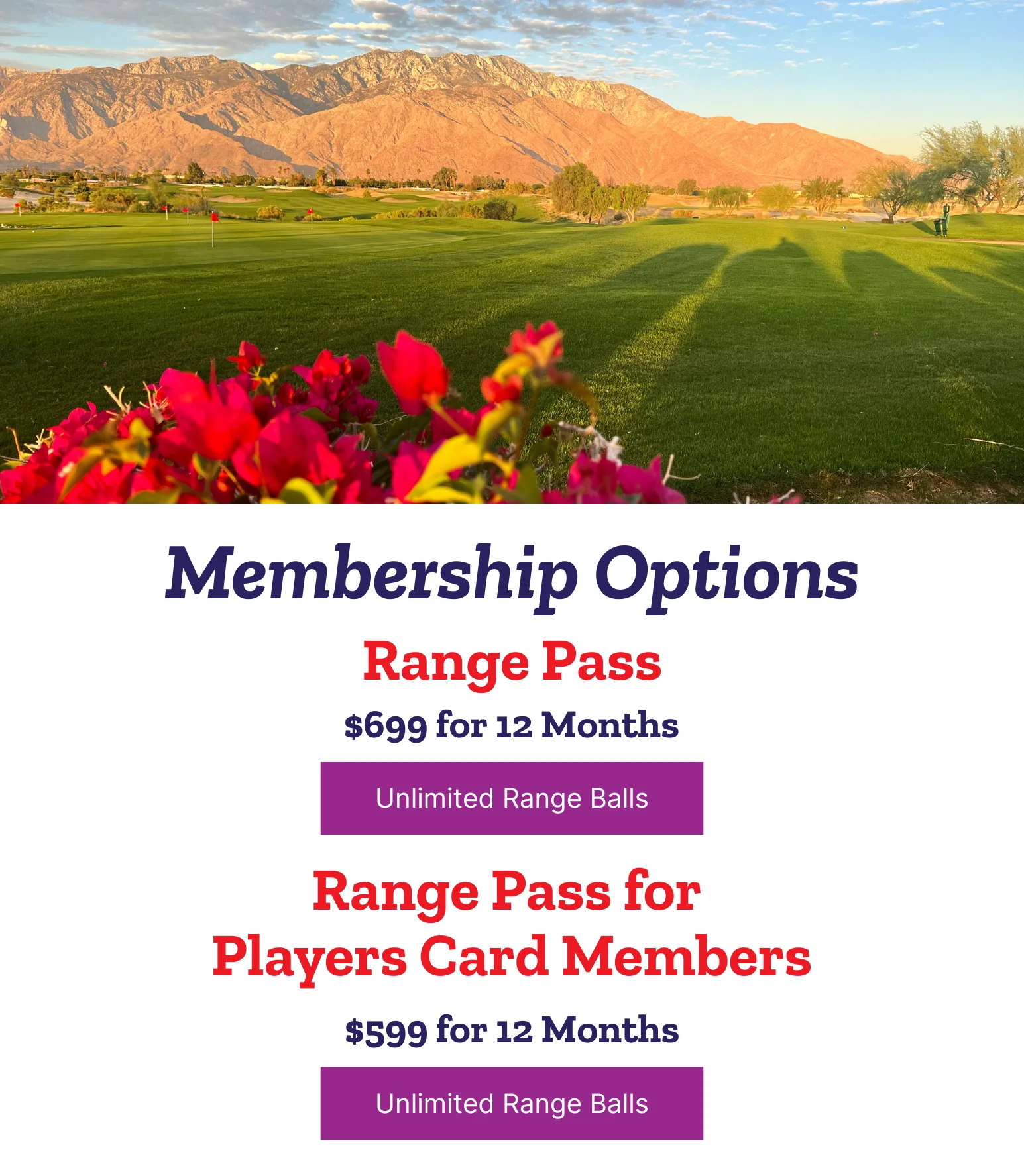 Golf course view with mountains and flowers at sunset