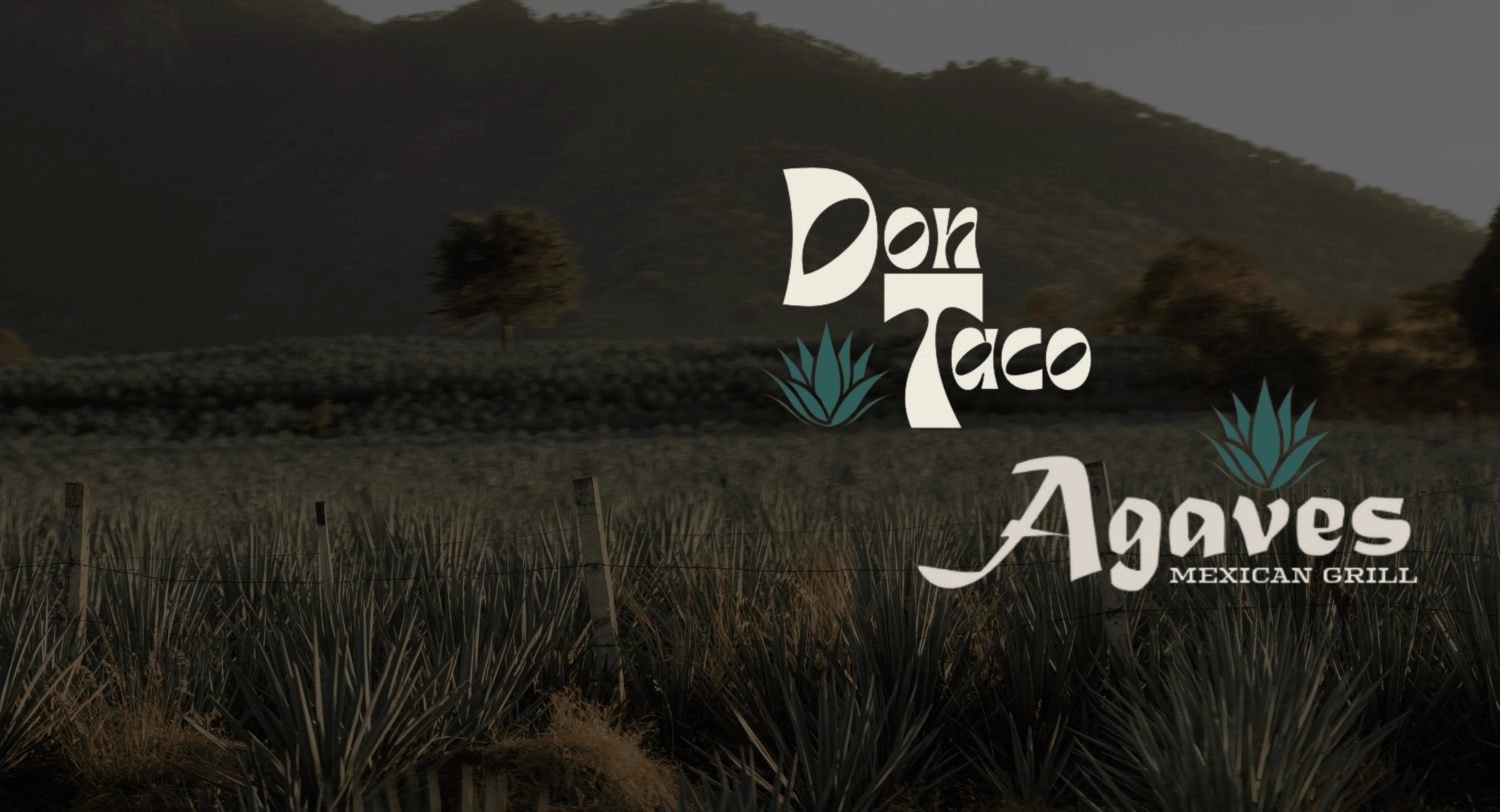field of agave plants and restaurant logos
