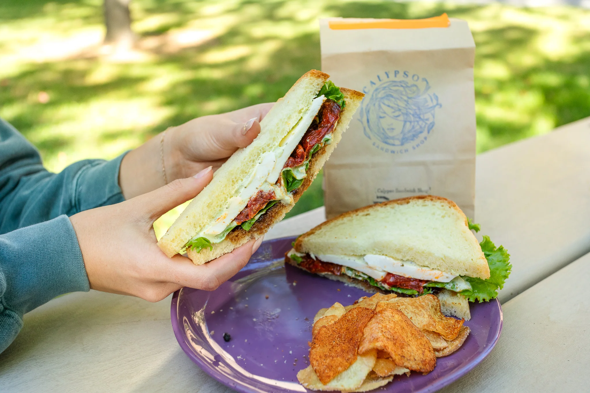 Fresh sandwich with turkey and sun-dried tomatoes