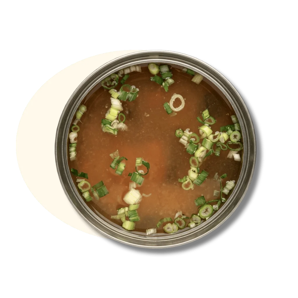 Bowl of broth with chopped green onions on top.