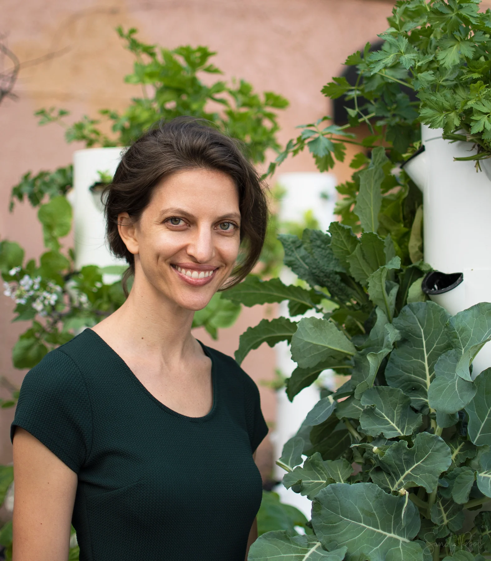 Vertical garden with fresh greens and herbs in urban setting