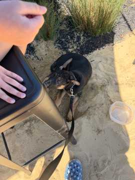 Photo from George B.'s review